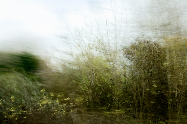 PicturePlainRemix[A44]